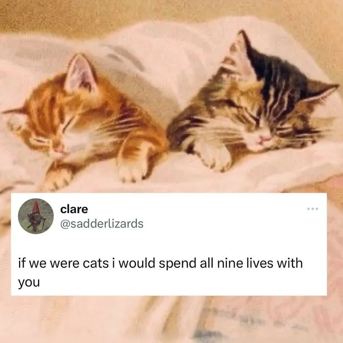 50 Times Children’s Book Illustrations Became The Perfect Adult Memes