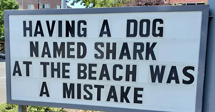 “We’re Tired Of Hiding The Bodies”: 50 Unexpected Signs That Made People Go ‘What?’