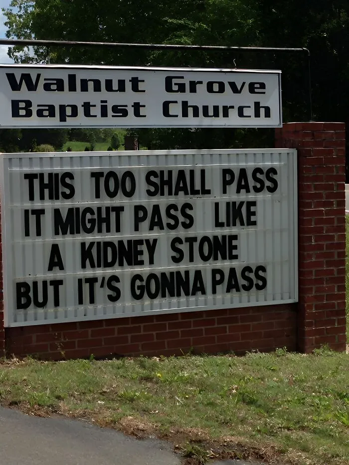 “We’re Tired Of Hiding The Bodies”: 50 Unexpected Signs That Made People Go ‘What?’