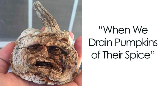 38 Fall Memes That Perfectly Capture The Cozy Vibes Of The Season
