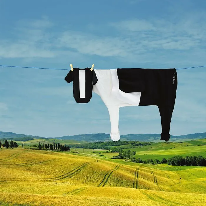 This Artist Created 21 Playful Animals From Laundry And Captured Them In Picturesque Landscapes
