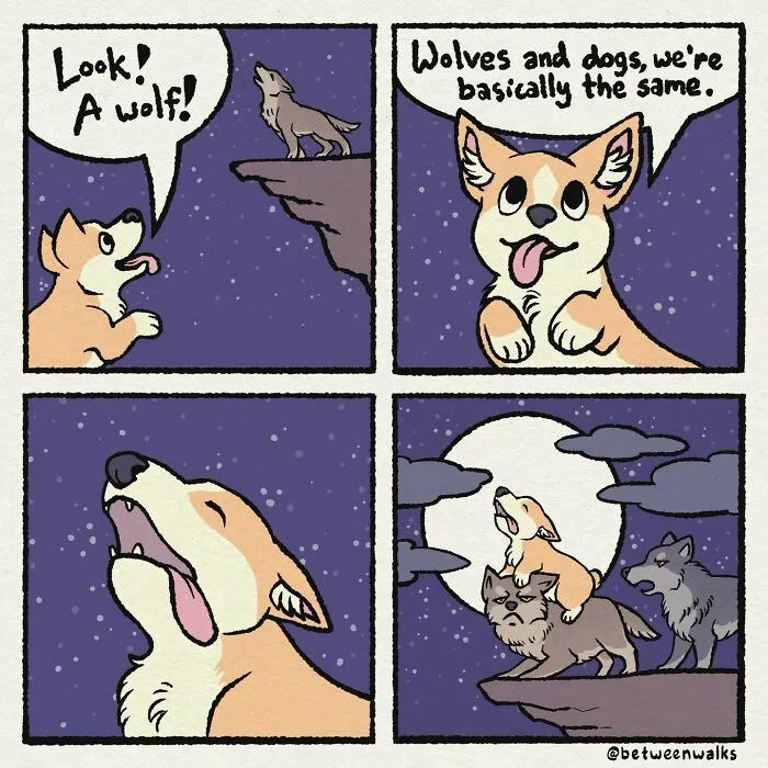 32 Wholesome Comics By Tiff Zhang That Will Make Any Animal Lover Smile