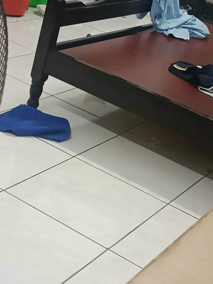 ‘There Is No Cat In This Image’: This X Account Collects Pictures Of Very Well-Hidden Cats (30 New Pics)