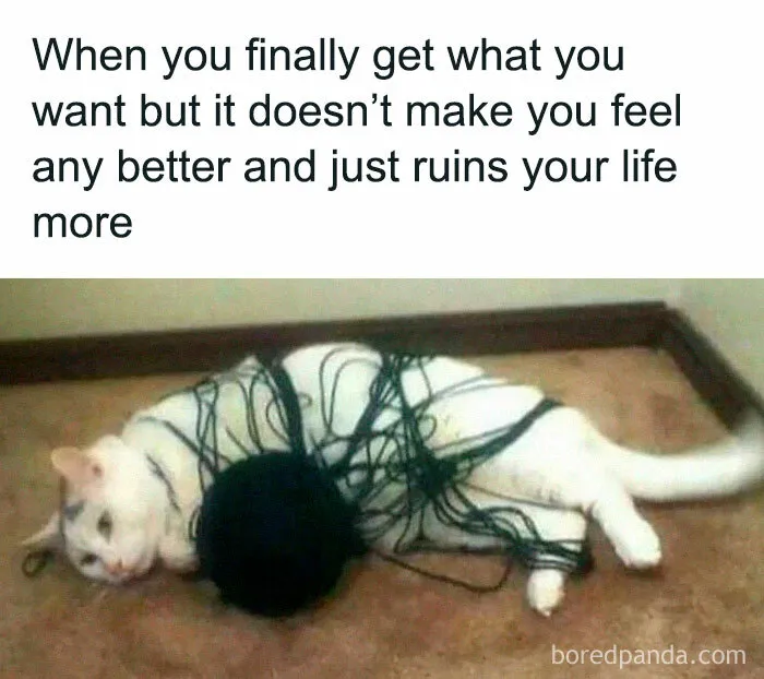 Intellectuals Are Cracking Up At These 50 Memes That Were Created Specially For Them