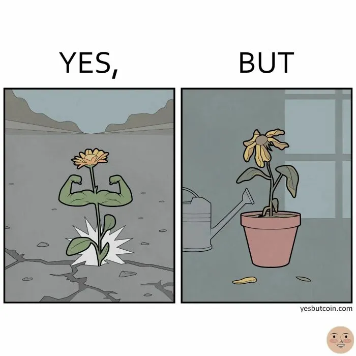 “Yes, But”: 30 Comics That Continue To Expose Our Society’s Contradictory Nature By Anton Gudim (New Pics)