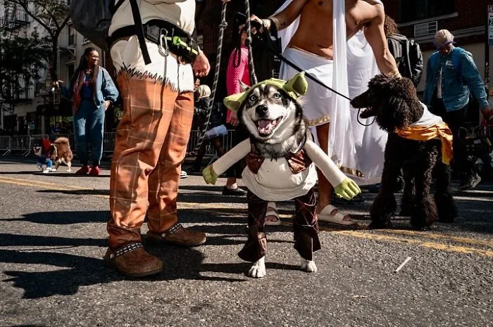 40 Dog Halloween Parade Participants Whose Costumes Were So Spooky, They Stole The Show