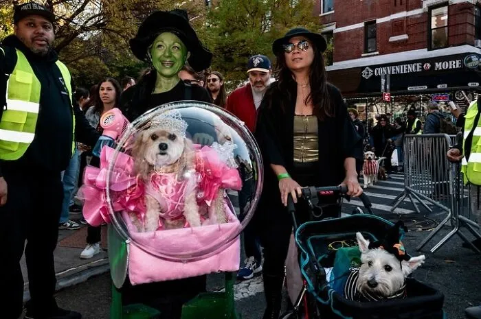 40 Dog Halloween Parade Participants Whose Costumes Were So Spooky, They Stole The Show