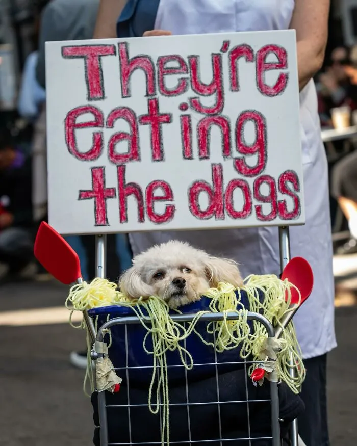 40 Dog Halloween Parade Participants Whose Costumes Were So Spooky, They Stole The Show