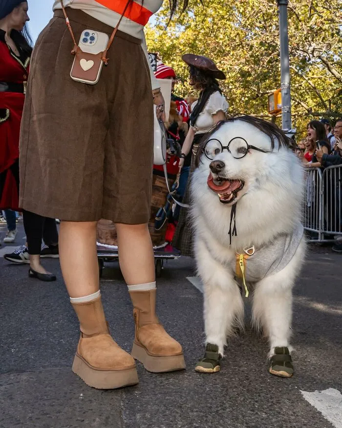 40 Dog Halloween Parade Participants Whose Costumes Were So Spooky, They Stole The Show