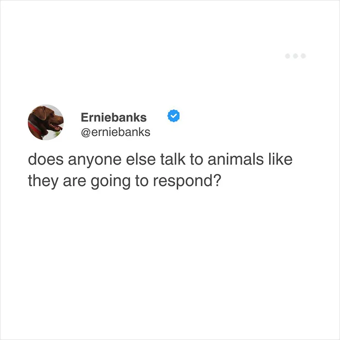 50 Funny Tweets That Have No Business Being So Accurate