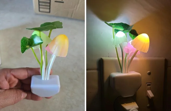 Light Up The Night With A Touch Of Woodland Magic! These <a Style="Display:inline;" Href="Https://Www.amazon.com/Sensor-Night-Light-Changing-Mushroom/Dp/B00re0m1o2?crid=1wp25dewf8xtf&dib=eyj2ijoimsj9.lkldxvpgdwdv8vgq8d34qrswmzanmxcibec3sennwa3o1clfiv6l1kh1tns8akuhrgkf6kgmtwzchbelc54u0q3pew1t4lathxuvqskeqvk.qwftviznshrdia7zq0ywyztbrvomunp5x9tfmxx6-9o&dib_tag=se&keywords=creative%2bhome%2bitems&qid=1727700849&sprefix=creative%2bhome%2bitem%2caps%2c236&sr=8-154&th=1&linkcode=ll1&tag=bppanther-20&linkid=7bcd38069c0520b008aae7c2dce58d04&language=en_us&ref_=as_li_ss_tl" Target="_blank"><span Style="Font: Inherit; Color: #d74b1f;"> Mushroom-Shaped LED Night Lights</Span> Add A Whimsical Glow To Any Room
