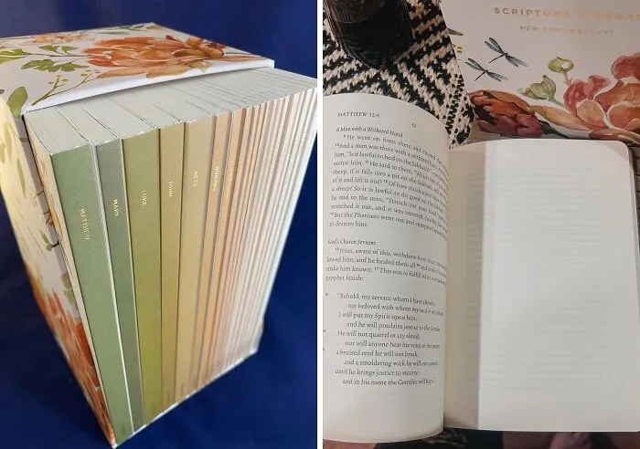 This   <a Style="Display:inline;" Href="Https://Www.amazon.com/Esv-Scripture-Journal-Testament-Artwork/Dp/1433581655?pd_rd_w=st603&content-ID=amzn1.sym.9fa62d05-2D38-481d-A9d2-8465e3a4141a&pf_rd_p=9fa62d05-2D38-481d-A9d2-8465e3a4141a&pf_rd_r=16qg9x84w3rhc5dkmqxw&pd_rd_wg=w1ymf&pd_rd_r=791be950-4034-48d5-9291-29123a8764be&pd_rd_i=1433581655&linkcode=ll1&tag=bpiguana-20&linkid=93c273c87c27b9dd699ee7dd6edb17fe&language=en_us&ref_=as_li_ss_tl" Target="_blank"><span Style="Font: Inherit; Color: #d74b1f;"> New Testament Journal Set</Span> Is The Perfect Way To Take Notes, Reflect, And Connect With Your Faith In Style