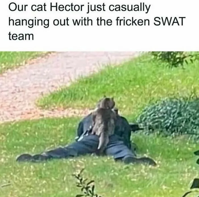 50 Funny And Awkward Animal Posts That Might Make Your Day Much Better