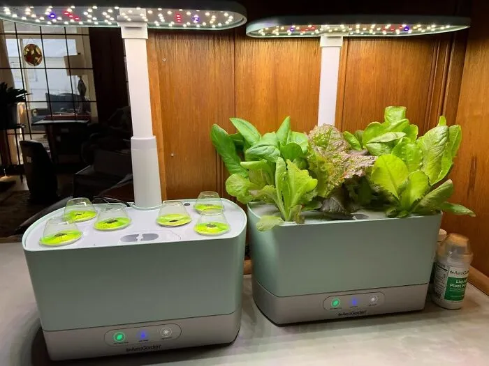 Who Needs A Green Thumb When You Have This? This   <a Style="Display:inline;" Href="Https://Www.amazon.com/Aerogarden-901101-1200-Harvest-White/Dp/B07cknwhpq?ie=utf8&linkcode=ll1&tag=bphawk-20&linkid=5b7c34836dc483a2ed7e7af60d6a4d8b&language=en_us&ref_=as_li_ss_tl" Target="_blank"><span Style="Font: Inherit; Color: #d74b1f;"> Aerogarden Harvest</Span> Lets You Grow Fresh Herbs Year-Round, Even If Your Gardening Skills Are Limited To Keeping A Cactus Alive