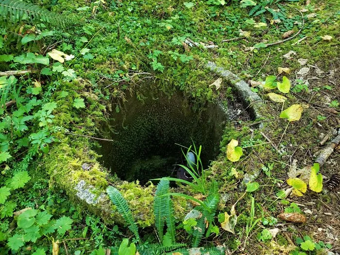 I Think I Found Some Kind Of Bomb Shelter In A National Forest..?