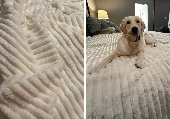  Good Luck Keeping Your Pets Off The Bed When This   <a Style="Display:inline;" Href="Https://Www.amazon.com/Bedsure-White-Fleece-Blanket-Couch/Dp/B0cbtzrnp1?dib=eyj2ijoimsj9.ws241tqroybksqvro-Y6pdtiihimo9nulidhpb5yn9qa9f06ipicdcednui9csaonqkgz_w4h49jpbt5ksiv2utijslpoc5j4eqbvqu39jddzxxrj7lxrlbstkilciyps1k50yp_bzn78-Tbux8qkawprutcbukggqdn3a0oemr7-Zmzsaqu8l960ynqlags1modouwrnq0o0mryky5xevmirk2j5v0zsq7rvhcxgt_ve-Yukbyhfzzcwqmo6b7c9aozjkqguon0irmliz-Tkzuw0e1c2mdvvpe9now0pwi.ekn5-Wdyeeh3nyegie0fnnajybkzel82z4m3abfuhcm&dib_tag=se&keywords=trending+now&qid=1727851780&sr=8-1&linkcode=ll1&tag=bpbat-20&linkid=4b3808ef1b603f7e0fc497abd6485083&language=en_us&ref_=as_li_ss_tl" Target="_blank"><span Style="Font:inherit;color:#d74b1f;"> Super Soft Throw Blanket</Span> Comes Out This Winter