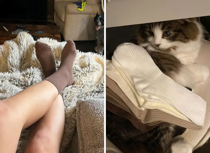  These   <a Style="Display:inline;" Href="Https://Www.amazon.com/Accfod-Socks-Women-Cotton-Girls/Dp/B0bz8w44dr?dib=eyj2ijoimsj9.ws241tqroybksqvro-Y6pdtiihimo9nulidhpb5yn9qa9f06ipicdcednui9csaonqkgz_w4h49jpbt5ksiv2utijslpoc5j4eqbvqu39jddzxxrj7lxrlbstkilciyps1k50yp_bzn78-Tbux8qkawprutcbukggqdn3a0oemr7-Zmzsaqu8l960ynqlags1modouwrnq0o0mryky5xevmirk2j5v0zsq7rvhcxgt_ve-Yukbyhfzzcwqmo6b7c9aozjkqguon0irmliz-Tkzuw0e1c2mdvvpe9now0pwi.ekn5-Wdyeeh3nyegie0fnnajybkzel82z4m3abfuhcm&dib_tag=se&keywords=trending+now&qid=1727851780&sr=8-8&linkcode=ll1&tag=bpbat-20&linkid=47bca0da5f14e63847249522c30ba635&language=en_us&ref_=as_li_ss_tl" Target="_blank"><span Style="Font:inherit;color:#d74b1f;"> Neutral Cotton Socks</Span> Have Your Feet Looking Cozy And On-Trend This Fall