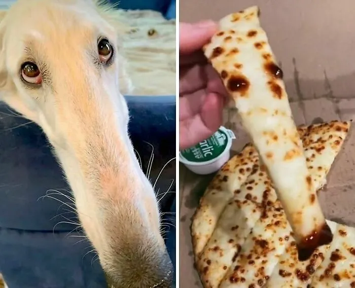 30 Downright Unholy Pictures Of Food That Ended Up Featured On This FB Page (New Pics)