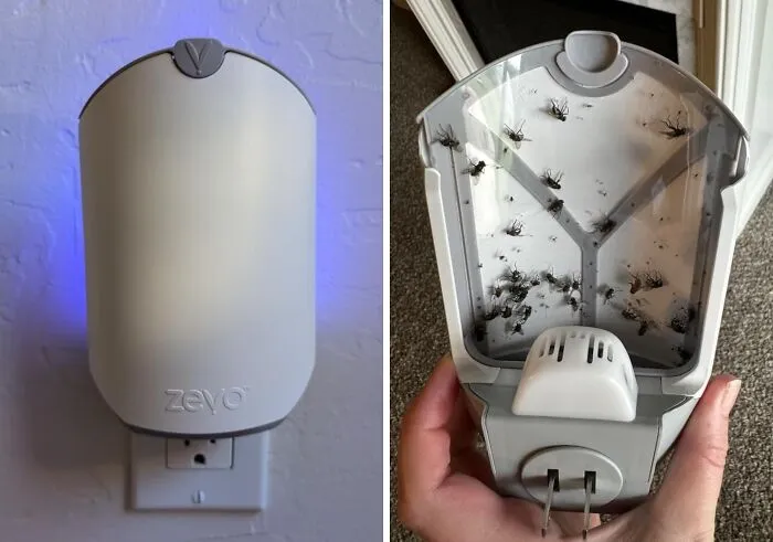  This   <a Style="Display:inline;" Href="Https://Www.amazon.com/Flying-Insect-Fruit-Refill-Cartridges/Dp/B0c3pdtyyx?ie=utf8&th=1&linkcode=ll1&tag=bpkiwi-20&linkid=4a26f1f412aa6f1d4e8524b080e47295&language=en_us&ref_=as_li_ss_tl" Target="_blank"><span Style="Font:inherit;color:#d74b1f;"> Indoor Insect Trap </Span> Is A Discreet Way To Get Rid Of Pesky Fruit Flies That Are Always Buzzing Around Your Kitchen