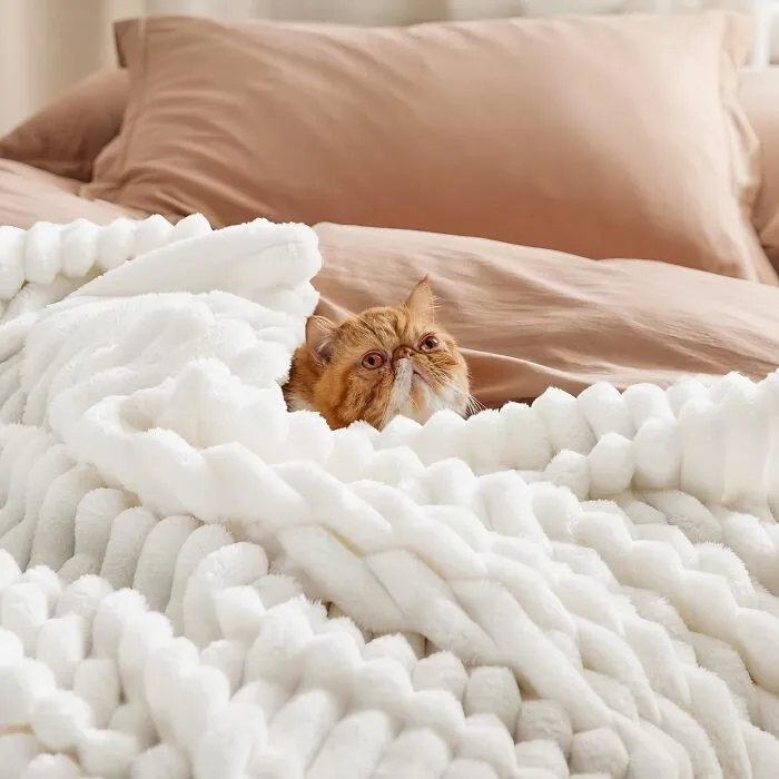  Buyer Beware: You Might Never Want To Get Out Of Bed Once You Bring Out This   <a Style="Display:inline;" Href="Https://Www.amazon.com/Bedsure-White-Fleece-Throw-Blanket/Dp/B0bplb81lx?dib=eyj2ijoimsj9.w0czy96rqhxhwo_chmfe5adlcku7j6mibagy68gkuw1u4iv5fvcpb5mvbbnxau_s2n69g3ykngqomqszcarmacndxppeoobsbp6uiewxwy-Ppv-Krwrxkwub_y2fbjmbewv0kyhvkdqbhcbwtfzr1qnxtprxw5gs_oaqblsna6a.wo71-Fwv1yr8fmlwzpl7bgluem7nrtmmi_9-Mcoykck&dib_tag=se&qid=1727850741&sr=8-40&srs=121543463011&linkcode=ll1&tag=bpwhale-20&linkid=dc0adab2bb630e248d1bc7c10d89c745&language=en_us&ref_=as_li_ss_tl" Target="_blank"><span Style="Font:inherit;color:#d74b1f;"> Super Soft Throw Blanket</Span> 