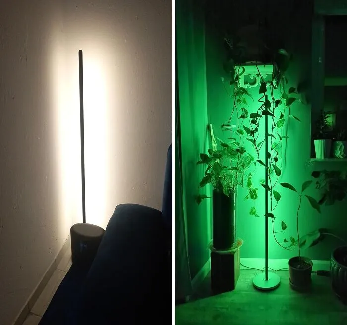 This    <a Style="Display:inline;" Href="Https://Www.amazon.com/Govee-Modern-Assistant-Million-Bedroom/Dp/B099wtn2tr?dib=eyj2ijoimsj9.65naulfph6em-Cxjry_2ojbixe0zodtdhtjrpfli7muzhjhfgd5s6kwwxiucc7gdynks8li5o1vrnalb9g8kjaf1n42ebg8t7zntkdk6x8xo7udmqjotxfojkgqxyzajpiqgnmfzsppb7ag2pzq4_wj5tboud2wjgvbuafvgx5q.yiljiltgk2yimm0inxwgxmlbk9r__8v_0fewlxj1izi&dib_tag=se&qid=1727787580&sr=8-83&srs=121539624011&th=1&linkcode=ll1&tag=bpbuffalo-20&linkid=7b07800bf85d211f1f666dc9475dfc2f&language=en_us&ref_=as_li_ss_tl" Target="_blank"><span Style="Font:inherit;color:#d74b1f;"> LED Corner Floor Lamp</Span> Is So Smart, It Connects With Alexa And Even Syncs To Your Music. The Perfect Mood, Every Time!