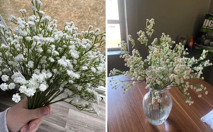 Your Home Is About To Be Blooming With Cuteness! These <a Style="Display:inline;" Href="Https://Www.amazon.com/Artificial-Gypsophila-Bouquets-Arrangement-Decoration/Dp/B088zkpgny?th=1&linkcode=ll1&tag=bpostrich-20&linkid=bdbb60e5c18e7467735fc00bfa10b04c&language=en_us&ref_=as_li_ss_tl" Target="_blank"><span Style="Font: Inherit; Color: #d74b1f;"> Baby's Breath Artificial Flowers</Span> Add A Touch Of Delicate Charm To Any Space