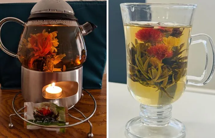 This   <a Style="Display:inline;" Href="Https://Www.amazon.com/Teabloom-Flowering-Tea-Varieties-Hand-Tied/Dp/B01hhdoalw?crid=3axcsf9vbpajg&dib=eyj2ijoimsj9.vkifhu2ezbdcm31idu0g-Xryd8aqcpcb1ckfmgp9ztz-1g062uvpszpbwvqtmrphudh8aox9xlfsawd9ilyrofhgurjhjjztirpyheo68rp5lnlh1h0yy7drtfsiyqqnztzjcxhsmdhzb4mjfv39uqa0vs8z0hq_a_wjm-V-Rmku1pj8lj0xqllgpzxtvqxwfjdhco720b2kqcs-Dqabwgf5rojkntrudpxwj1mu8wtmfk1rhphgcl8eh3kbegyi7lwlnir-F03zr-Rv9ugpjw9wu7tzb7xrqtyukzak5w0.xuy47aamkzz7szjf-Hcmn8lcjvjv7uwzl7x_czq0mvs&dib_tag=se&keywords=unique%2bgifts&qid=1727954839&sprefix=unique%2bgift%2caps%2c298&sr=8-33&th=1&linkcode=ll1&tag=bpgecko-20&linkid=ef859ec2f36308814b9c713db7f31a2c&language=en_us&ref_=as_li_ss_tl" Target="_blank"><span Style="Font: Inherit; Color: #d74b1f;"> Teabloom Flowering Tea</Span> Is Like A Tiny Garden In Your Cup, With Each Bloom Bursting With Flavor And Fragrance