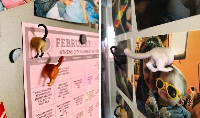  Your Fridge Will Be The Butt Of Every Joke With These Hillarious <span Style="Font:inherit;color:#d74b1f;"> Cat Magnets</Span> 