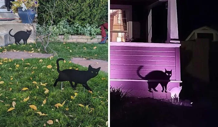  A   <a Style="Display:inline;" Href="Https://Www.amazon.com/Oumuamua-Halloween-Yard-Signs-Stakes/Dp/B0cchwgf3x?ie=utf8&linkcode=ll1&tag=bpcorgi-20&linkid=3bc944fda815a3d0d4164b55da30cd6f&language=en_us&ref_=as_li_ss_tl" Target="_blank"><span Style="Font:inherit;color:#d74b1f;"> Black Cat Yard Steak</Span> Casts Some Gloriously Ghoulish Shadows At Night