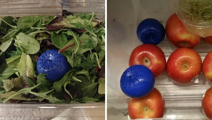 Keep Your Fruits And Veggies Fresher Than Will Smith In Bel-Air With This   <a Style="Display:inline;" Href="Https://Www.amazon.com/Produce-Saver-Fruit-Fresh-Vegetables/Dp/B005w6drny?ie=utf8&linkcode=ll1&tag=bpwalrus-20&linkid=78cbdb69c458fdcad77f78cb7ccbd882&language=en_us&ref_=as_li_ss_tl" Target="_blank"><span Style="Font: Inherit; Color: #d74b1f;"> Produce Saver Ethylene Absorber </Span>