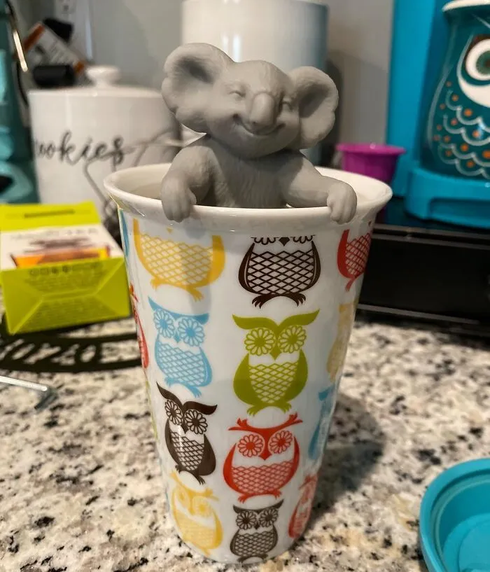 Your Cuppa Will Be Anything But Boring With This Eucalyptus-Loving   <a Style="Display:inline;" Href="Https://Www.amazon.com/Fred-5200171-Cute-Tea-Hedgehog-Silicone/Dp/B08ktppnb5?ie=utf8&th=1&linkcode=ll1&tag=bpwalrus-20&linkid=ef2b0728768e053db4b16d45af9f9c43&language=en_us&ref_=as_li_ss_tl" Target="_blank"><span Style="Font: Inherit; Color: #d74b1f;"> Koala Tea Infuser </Span> Hanging Around