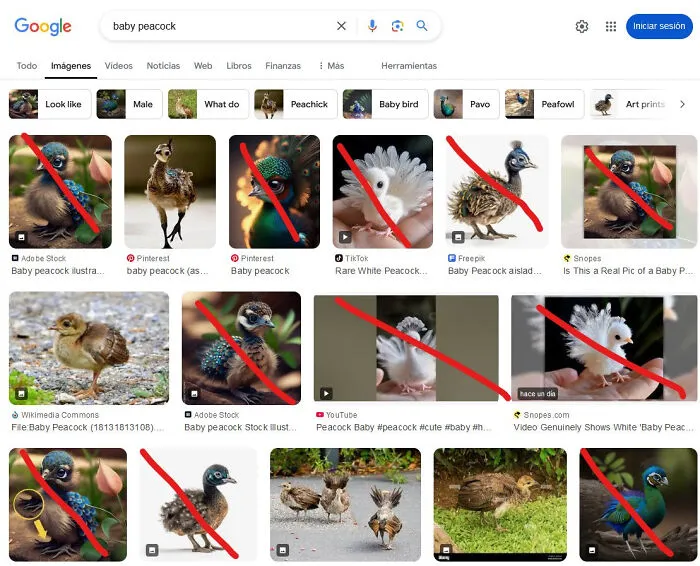 The Human Internet Is Dying. AI Images Taking Over Google