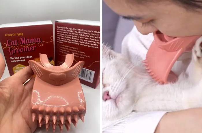 Take Your Feline Friendship To Uncomfortable New Heights With This Oddly Specific   <a Style="Display:inline;" Href="Https://Www.amazon.com/Dp/B0b7cllrqw?pd_rd_i=b0b7cllrqw&pd_rd_w=ntj8p&content-ID=amzn1.sym.8c2f9165-8e93-42a1-8313-73d3809141a2&pf_rd_p=8c2f9165-8e93-42a1-8313-73d3809141a2&pf_rd_r=9ay8f03w0h997gk503kz&pd_rd_wg=xzfep&pd_rd_r=1ddbc6eb-E6ac-44d5-92a2-09816182a23f&s=pet-Supplies&sp_csd=d2lkz2v0tmftzt1zcf9kzxrhaww&th=1&linkcode=ll1&tag=bpbutterfly-20&linkid=b43be13116484278ac0e74f27c994601&language=en_us&ref_=as_li_ss_tl" Target="_blank"><span Style="Font: Inherit; Color: #d74b1f;"> Bonding Cat Tongue Brush </Span>