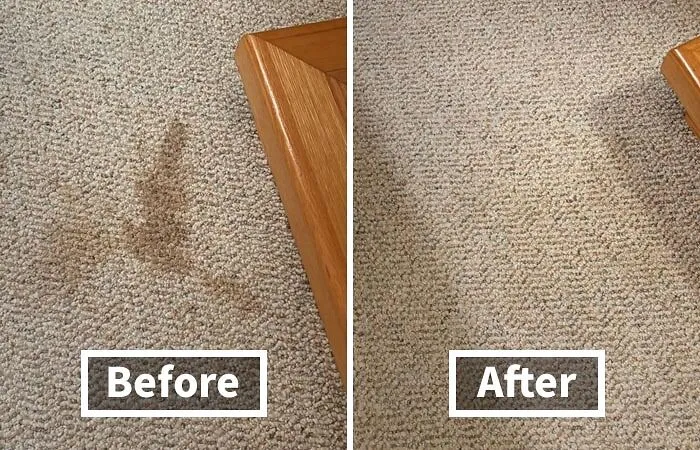 Blast Away Tough Stains And Odors In An Instant With This Powerful <a Style="Display:inline;" Href="Https://Www.amazon.com/Rocco-Roxie-Supply-Co-Professional/Dp/B00ckfl93k?ie=utf8&th=1&linkcode=ll1&tag=bplobster-20&linkid=df9cfa12fe0743b59ca425ada2c6ee58&language=en_us&ref_=as_li_ss_tl" Target="_blank"><span Style="Font: Inherit; Color: #d74b1f;"> Stain And Odor Eliminator Spray</Span> - A Quick-Fix Solution That Saves You Time And Stress, So You Can Get On With Your Day Without Worrying About Stubborn Spills And Stains