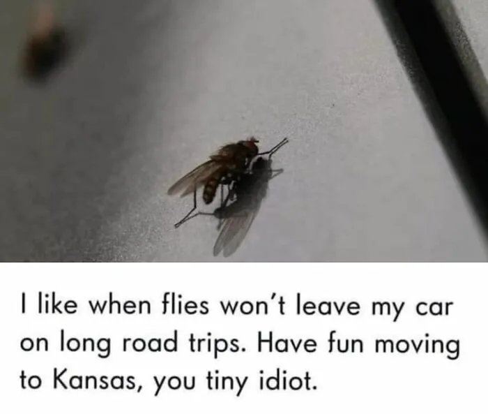 50 Hilarious Memes For Anyone Who Can’t Go A Day Without A Meme
