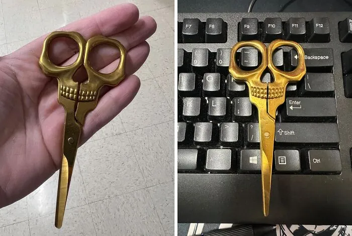 Cut To The Chase With These   <a Style="Display:inline;" Href="Https://Www.amazon.com/Suck-UK-Stainless-Scissors-Household/Dp/B07hfk4k48?pd_rd_w=ivrdr&content-ID=amzn1.sym.8731cf14-A5af-469f-9ca4-1f4799dd0e7c&pf_rd_p=8731cf14-A5af-469f-9ca4-1f4799dd0e7c&pf_rd_r=jt72zf54g7c5p7wz1k8c&pd_rd_wg=sb0qh&pd_rd_r=f1ab5850-Dee0-447e-BF58-7f3be655d699&pd_rd_i=b07hfk4k48&th=1&linkcode=ll1&tag=bppelican-20&linkid=bff54dfa9a91df983faef237402935b2&language=en_us&ref_=as_li_ss_tl" Target="_blank"><span Style="Font: Inherit; Color: #d74b1f;"> Skull Scissors</Span>