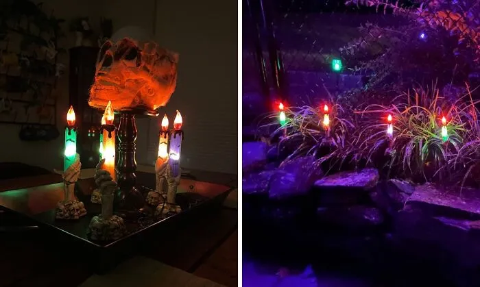 Creep Out The Squirrels With These <a Style="Display:inline;" Href="Https://Www.amazon.com/Dazzle-Bright-Decorations-Candle-Stakes/Dp/B09sz3jtfz?ie=utf8&linkcode=ll1&tag=bpturtle-20&linkid=19c180e36bf662c5fe8ca8b7cbad2740&language=en_us&ref_=as_li_ss_tl" Target="_blank"><span Style="Font: Inherit; Color: #d74b1f;"> Electric Halloween Candles</Span>