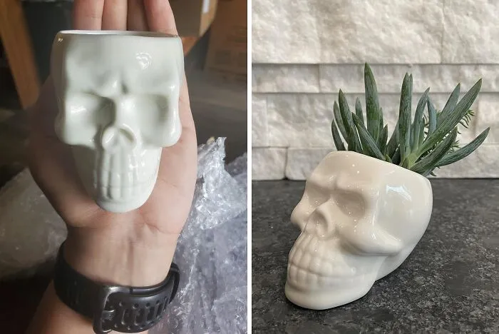 Add A Dash Of Macabre To Your Office Greenery With The   <a Style="Display:inline;" Href="Https://Www.amazon.com/Vanenjoy-Ceramic-Succulent-Creative-Decoration/Dp/B088zqjr12?crid=39hhqnbxqbgcb&dib=eyj2ijoimsj9.dmycfyjljqhvkwmksp6evagy237fgawtotfqisjw0dybq5apjlqg17jn2xgl6ugu-Sb2t-Dm2gdhyyqku41pn2dpnydm0oa7ycbw9wsfa8x3u_cjijg56behh8amu3zsajfgduqarzca329odrkie4cfol7jf6acwtba7_lykf_ruayo36gkhyof0oi1apomblw1ndcdsbjvd_2aevaklr955-Ahfz0cjsbbd1irhtzgijgnntmkdrka5drm2d7wjs-L4cpuhbtuckfm5zanlmze8lkydioc43n9g8iov2a.xbuywymlm6gly5ko7jfiezs3nhe8uiliiuv_z28v5qm&dib_tag=se&keywords=halloween%2boffice%2bgadgets&qid=1728547541&sprefix=halloween%2boffice%2bgadget%2caps%2c187&sr=8-83&th=1&linkcode=ll1&tag=bppelican-20&linkid=cacd2f84337e05aa1df5f88f981e04b2&language=en_us&ref_=as_li_ss_tl" Target="_blank"><span Style="Font: Inherit; Color: #d74b1f;"> Ceramic Skull Succulent Pots</Span>