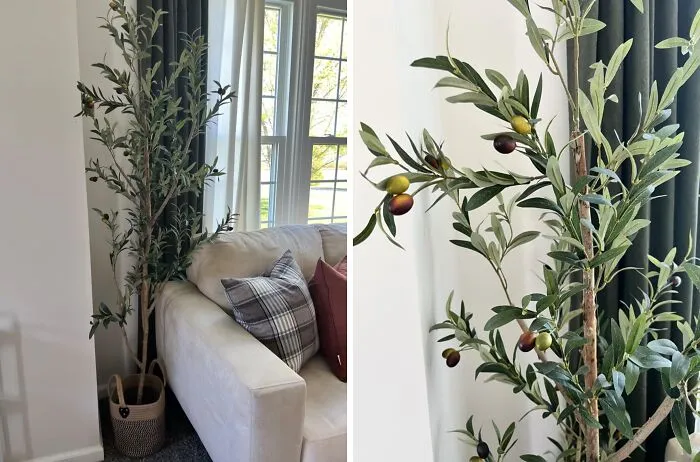 Elevate Your Decor With A Mediterranean Flair That's More IKEA Than Italian Villa, Courtesy Of This Realistic But   <a Style="Display:inline;" Href="Https://Www.amazon.com/Kazeila-Artificial-Office-Natural-Lifelike/Dp/B0bkrfbstf?crid=33dh1xk7ahvak&dib=eyj2ijoimsj9.utruytujxkezdxqdridk2jqkre1shglyi54-Eva9pzugn2-B11iaytdmrbcep81gxso_ucyb0dd_n3hjrtbi5xgrm79xczha299nyb_4o0iss6jdwxd2v2dsab6mtm19czfpkkhflooft1095jnuzwnpkqqewdrzv4oz_nyag-Rph_jkwcjxytewjrj1msg66kfriy8agt67syexaye-7tbvun3thtb39nhhypd3kjbtlyedhginu0pz7th-Ffdx47m7k7y1kp2dvfqggvo_tuyonl6qw1l-J5bncygqtec.rgmj72e6ow38ahpdkwr350wy6du1lhrgvww0cgnwu-I&dib_tag=se&keywords=home%2bdecor&qid=1728630028&sprefix=home%2bdeco%2caps%2c297&sr=8-30&th=1&linkcode=ll1&tag=bpbison-20&linkid=bc59e0c442a42de7a48955f55a88568e&language=en_us&ref_=as_li_ss_tl" Target="_blank"><span Style="Font: Inherit; Color: #d74b1f;"> Artificial Olive Tree</Span>