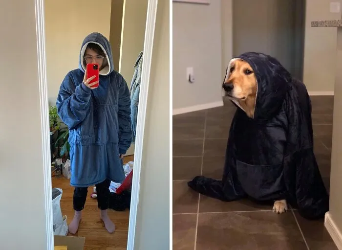 Wrap Yourself In The Comfort Of A Thousand Hugs (And The Knowledge That This Was Money Well Spent) With The   <a Style="Display:inline;" Href="Https://Www.amazon.com/Dp/B07dksy26d?ascsubtag=7474831%2c22%2c29%2cd%2c0%2c0%2c0%2c900%3a2%3b974%3a3%3b1125%3a1%3b1338%3a1%3b1352%3a1%2c0%2c0%2c0%2c0&btn_ref=srctok-8a7a250ea199e2bb&linkcode=ll1&tag=bptoucan-20&linkid=50e90bba31db2de7f3b40dfe9d472d6d&language=en_us&ref_=as_li_ss_tl" Target="_blank"><span Style="Font: Inherit; Color: #d74b1f;"> Oversized Wearable Blanket</Span>