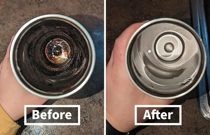 Dissolve The Dread Of Dirty Bottles With The    <a Style="Display:inline;" Href="Https://Www.amazon.com/Dp/B06xycvdb9?ascsubtag=7474831%2c14%2c29%2cd%2c0%2c0%2c0%2c900%3a2%3b974%3a3%3b1125%3a1%3b1338%3a1%3b1352%3a1%2c0%2c0%2c0%2c0&btn_ref=srctok-Ce3b8e05a30ab4aa&linkcode=ll1&tag=bptoucan-20&linkid=6f199f1a7f804fd3caa7eaab3738bc28&language=en_us&ref_=as_li_ss_tl" Target="_blank"> <a Style="Display:inline;" Href="Https://Www.amazon.com/Dp/B06xycvdb9?ascsubtag=7474831%2c14%2c29%2cd%2c0%2c0%2c0%2c900%3a2%3b974%3a3%3b1125%3a1%3b1338%3a1%3b1352%3a1%2c0%2c0%2c0%2c0&btn_ref=srctok-Ce3b8e05a30ab4aa&linkcode=ll1&tag=bptoucan-20&linkid=6f199f1a7f804fd3caa7eaab3738bc28&language=en_us&ref_=as_li_ss_tl" Target="_blank"><span Style="Font: Inherit; Color: #d74b1f;"> Bottle Cleaning Tablets</Span>, A Shark-Approved Solution That's A Clean Sweep For Messy Vessels