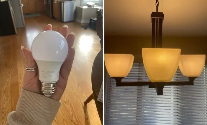 <a Style="Display:inline;" Href="Https://Www.amazon.com/Sylvania-40821-Equivalent-Efficient-Temperature/Dp/B08frss4bf?crid=19y6e2vduic8h&dib=eyj2ijoimsj9.rem0of7nuuui1omzlmi7jzbzls_ddtwl47jd4n59p0zolpqfltbn77rd84z4k70srcdmtsddwvfpcofl6u5t-Dplmn0zmffkzfg5b7keaqnuolbevekrrdxaskucgo5nhg1uxmmq9fzaiebh-Foyrcn-97_xz4mmhd8l4qoix00iytb7yw1r2c86czplmxmrhvaahrkkvutqd8hoj50s0yrln24eyogionesyompbx8t6lfyrqo1expqhnpjtl2hl_wqsdzisj2haw8n8ru5j0jyuk1usstyk4lqvu6miti.j7wzj1ggq-Hn4aixjspjstd6efm5imhwshdsum-9e2e&dib_tag=se&keywords=energy%2befficient%2blight%2bbulbs&qid=1728637195&sprefix=energy%2be%2caps%2c200&sr=8-2-Spons&sp_csd=d2lkz2v0tmftzt1zcf9hdgy&th=1&linkcode=ll1&tag=bpmammoth-20&linkid=1c7783fa461824f3fc13ceb9b7f91c72&language=en_us&ref_=as_li_ss_tl" Target="_blank"><span Style="Font:inherit;color:#d74b1f;"> Energy Efficient Lightbulbs</Span> Are No Joke