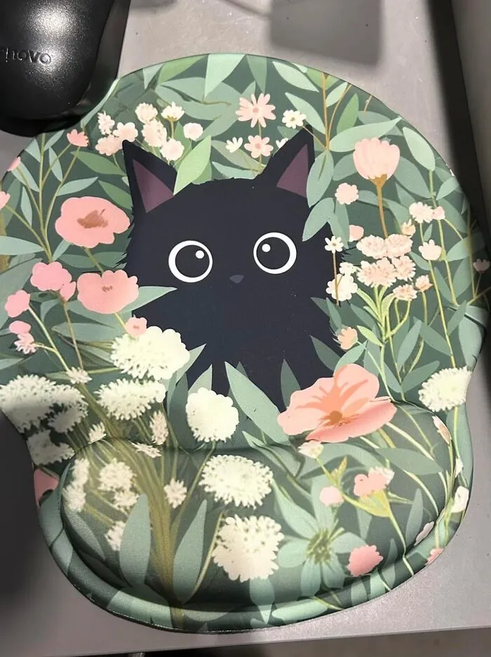 While Everything In The Office Might Be A Drag, This   <a Style="Display:inline;" Href="Https://Www.amazon.com/Blusabaca-Dumpster-Ergonomic-Mousepad-Accessories/Dp/B0cl9hlt6q?ie=utf8&th=1&linkcode=ll1&tag=bpsquirrel-20&linkid=8385930abae52fd17367799a74dc3513&language=en_us&ref_=as_li_ss_tl" Target="_blank"><span Style="Font:inherit;color:#d74b1f;"> Cute Mousepad</Span> Will Keep Your Spirits Up