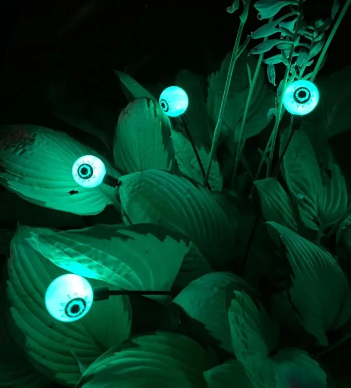 All Eyes Are On You... Literally! The   <a Style="Display:inline;" Href="Https://Www.amazon.com/Behiller-Halloween-Decorations-Outdoor-Waterproof/Dp/B0c84jsv3j?ie=utf8&th=1&linkcode=ll1&tag=bpcorgi-20&linkid=46911b1f7ac540b9d7c353cda13477ec&language=en_us&ref_=as_li_ss_tl" Target="_blank"><span Style="Font: Inherit; Color: #d74b1f;"> Solar Eyeballs </Span> Stare Down Your Garden Visitors With An Unblinking, Unsettling Gaze