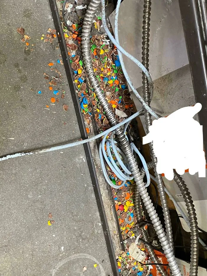 Las ratas robaron M&ms y se comieron solo los que tenían maní dentro