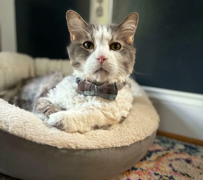 Honestly, Just Wanted To Show How Handsome My 20-Year-Old Dude Is