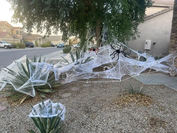 Get Tangled Up In Terror! The   <a Style="Display:inline;" Href="Https://Www.amazon.com/Halloween-Decorations-Spiders-Stretchy-Cobwebs/Dp/B07ycsnldg?ie=utf8&th=1&linkcode=ll1&tag=bpcorgi-20&linkid=a18b81eb21229a41f5dcf982c0db2a0c&language=en_us&ref_=as_li_ss_tl" Target="_blank"><span Style="Font: Inherit; Color: #d74b1f;"> Halloween Spider Webs Decorations With 150 Extra Fake Spiders </Span> Spins A Web Of Deceit, Covering Your Home In Creepy, Crawly Chaos That'll Leave Your Guests Screaming