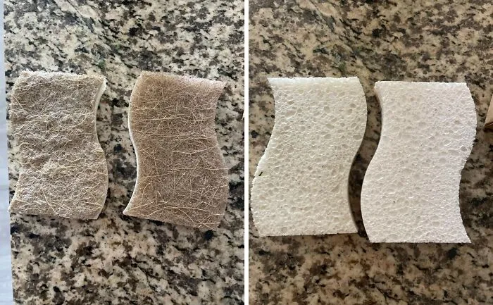 These   <a Style="Display:inline;" Href="Https://Www.amazon.com/Airnex-Biodegradable-Natural-Kitchen-Sponge/Dp/B0917gv13p?crid=1vx8mx6wgzona&dib=eyj2ijoimsj9.l9ejqtlqmy2dciy3m5btduh6nldc23hdsyd_yq9wgekeasgw2eoyxviias86bl8f2ms-Uzocwvbjxrjpddf0xsfxq8yapwzzi28y6jblmwvwbstqzplatcah4dr970dars-Wx7zwoyfz3f8hthoohb7ij-Ezcgova47n6cwmnlbq2qfkrwystxdwklv-Albmiggmvu8tdw9iytobagc7fsfhgonjwmyym5uulypxt0ey2jdknhpwjlh7xxnk3uavge0dfrvd8vyr76t4fea3ldaatkztuwc6vfkcgdezyys.xz1eo_zqzxwyq8u0ylheb_keseevyja5j_elomhjz2i&dib_tag=se&keywords=sustainable%2bhome%2bproducts&qid=1728284669&sprefix=sustainable%2bhom%2caps%2c247&sr=8-10&th=1&linkcode=ll1&tag=bpwolf-20&linkid=d3b6efe6c6eb201765bb0d9965ccb2e0&language=en_us&ref_=as_li_ss_tl" Target="_blank"><span Style="Font:inherit;color:#d74b1f;"> Biodegradable Scruber Sponges</Span> Are Made Of Cellulose And Coconut But They Are Still Tough On Grime