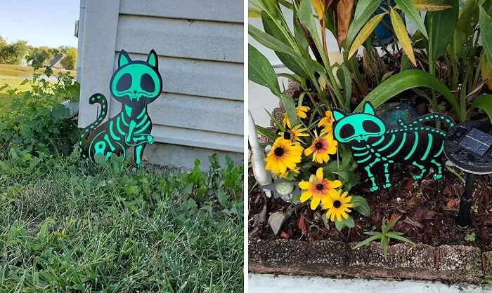 These   <a Style="Display:inline;" Href="Https://Www.amazon.com/Outdoor-Halloween-Decorations-Yard-Signs/Dp/B09yxd2t5h?ie=utf8&linkcode=ll1&tag=bpcorgi-20&linkid=8a343698128d56d783ac409199ee8169&language=en_us&ref_=as_li_ss_tl" Target="_blank"><span Style="Font: Inherit; Color: #d74b1f;"> Glow In The Dark X-Ray Cat Stakes </Span> Reveal A Hauntingly Cool Skeletal Secret