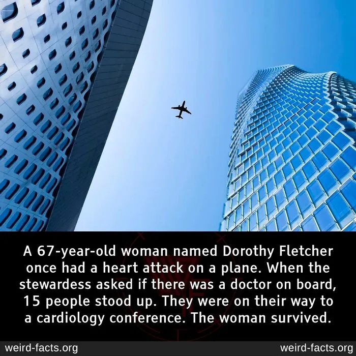 50 Facts So Fascinating They’ll Stick In Your Brain All Week